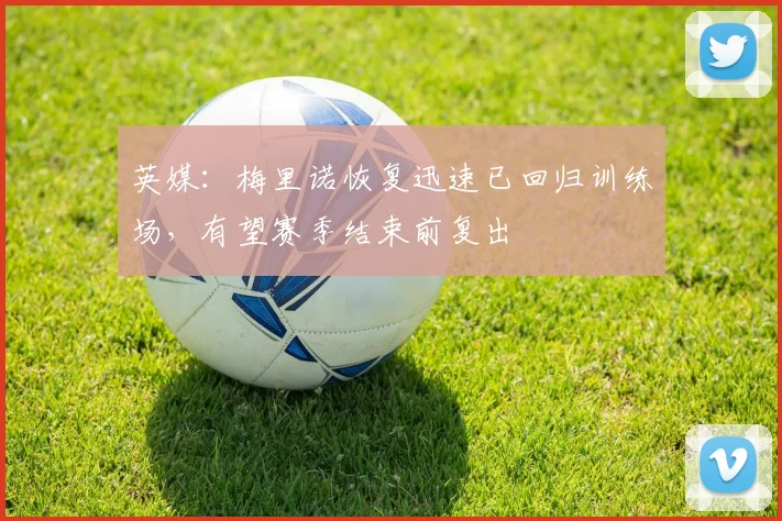 英媒：梅里诺恢复迅速已回归训练场，有望赛季结束前复出